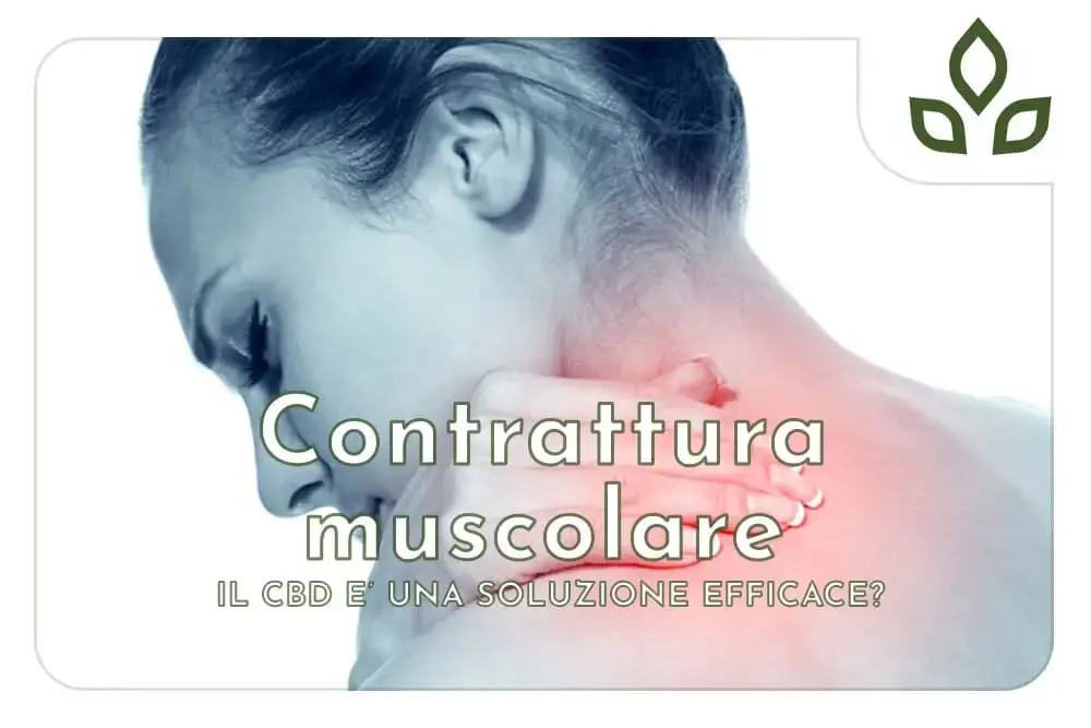 cbd contratture muscolari