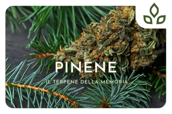 pinene