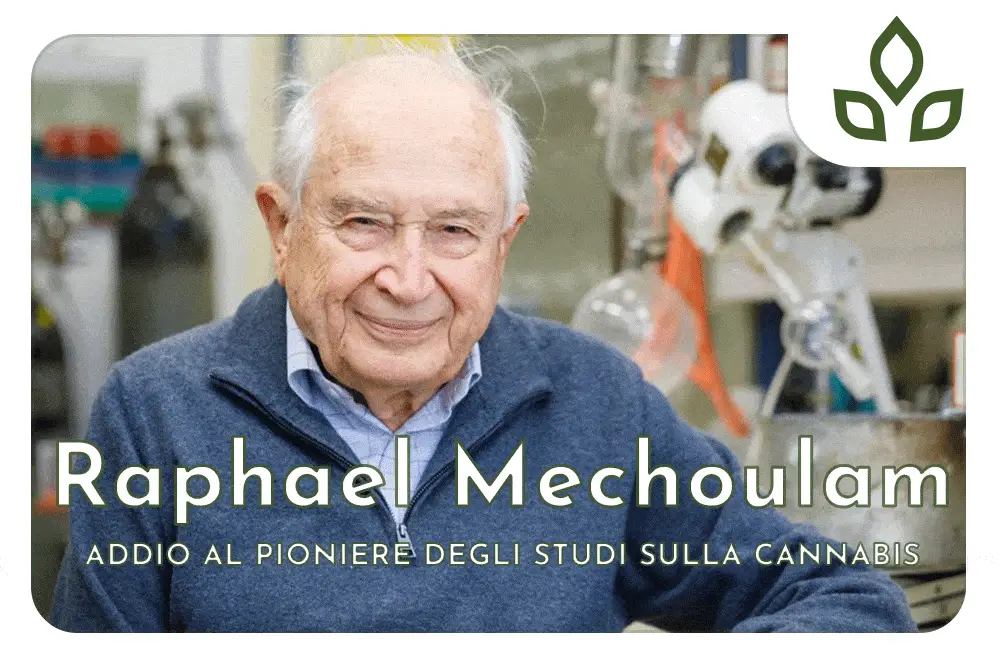 Raphael Mechoulam