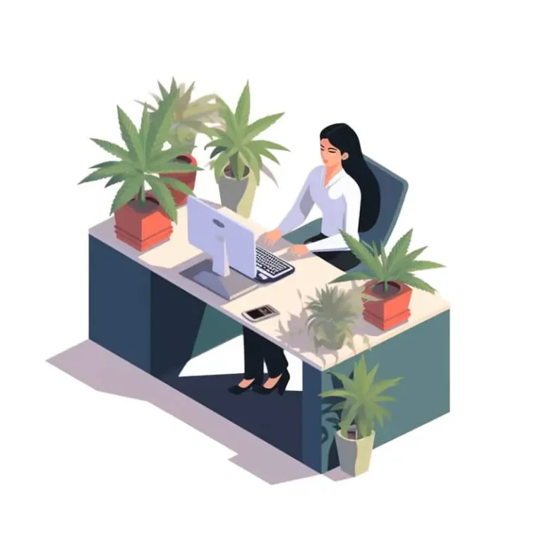 CBD Shop Online di Erba Legale e CBD