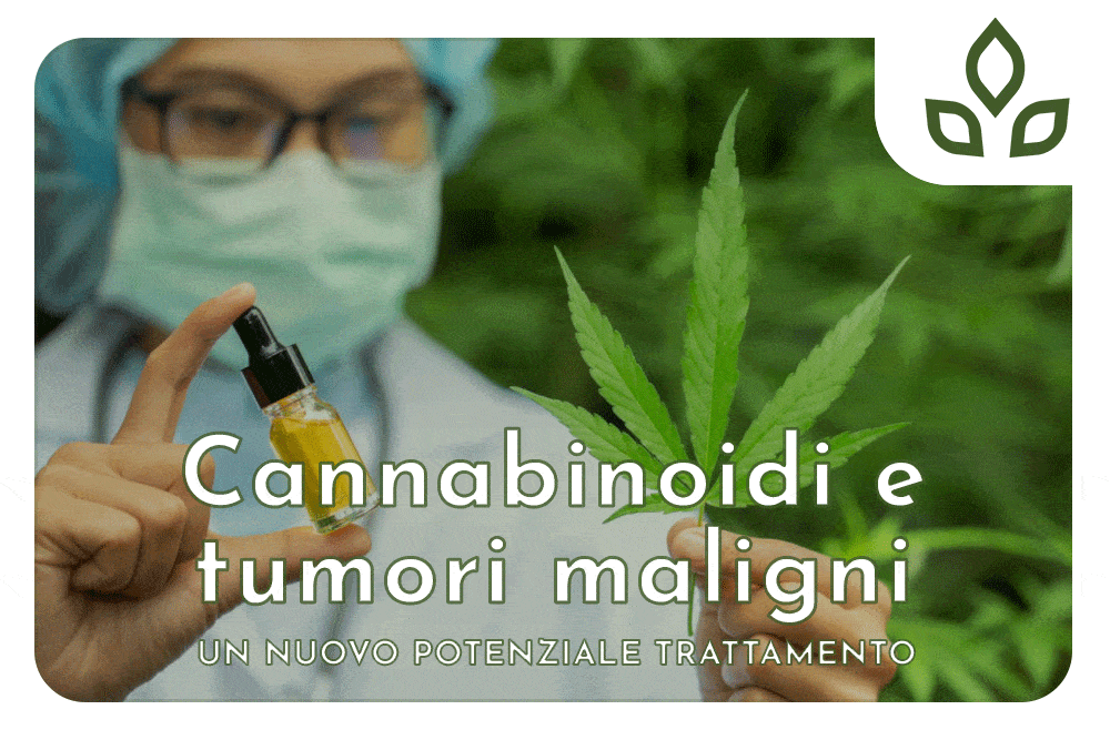 cannabinoidi e tumori