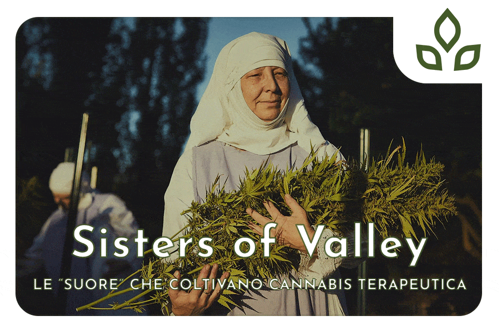 sisters of valley