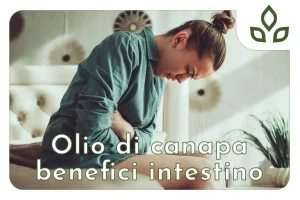 olio di canapa benefici intestino