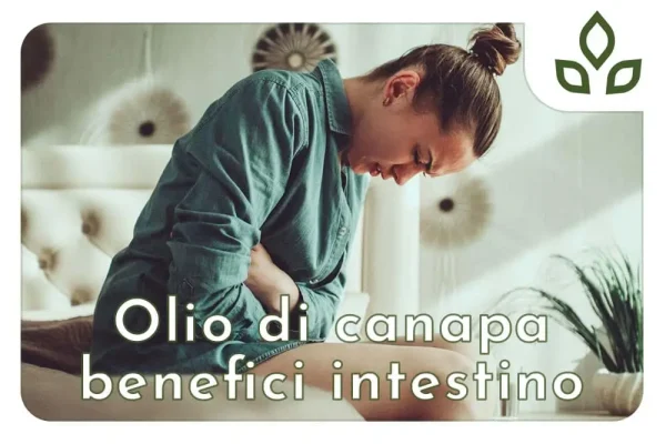 olio di canapa benefici intestino