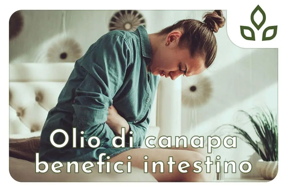 olio di canapa benefici intestino