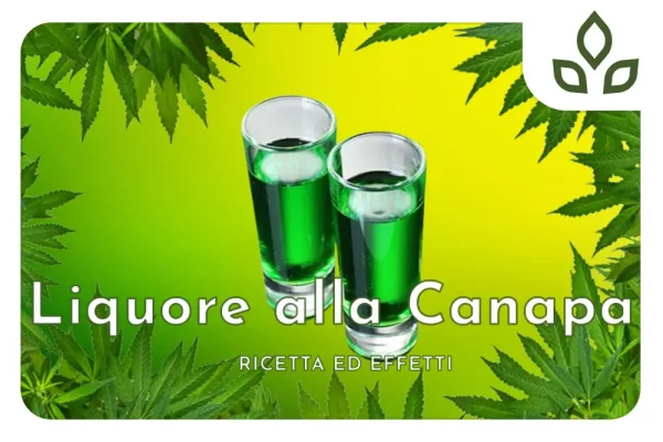 liquore alla canapa