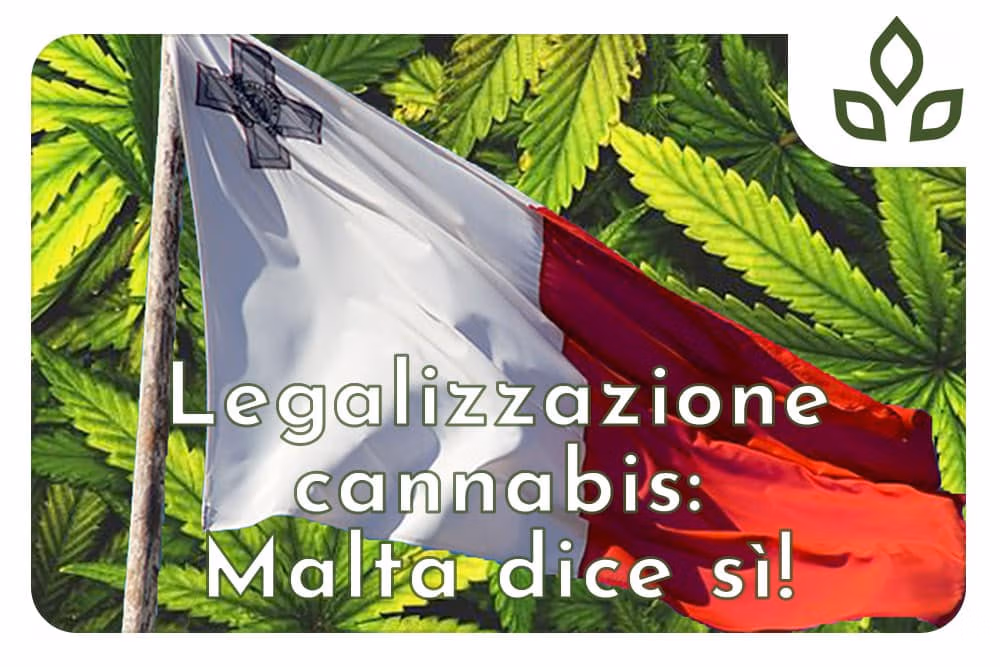 legalizzazione cannabis malta