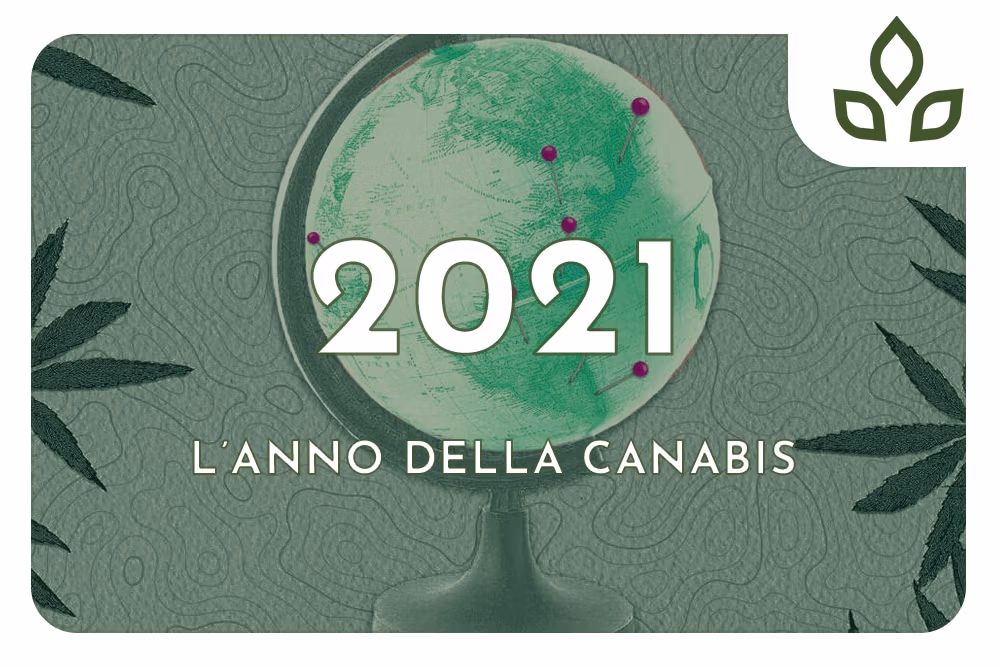 cannabis nel 2021
