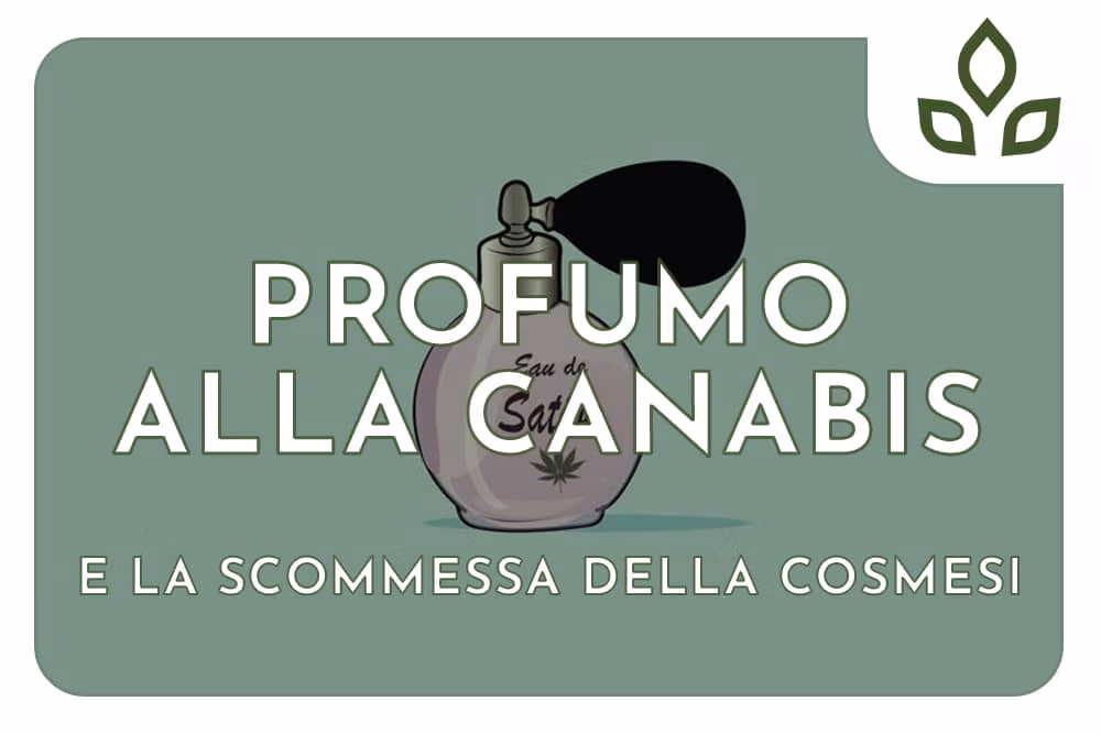 Profumo alla cannabis