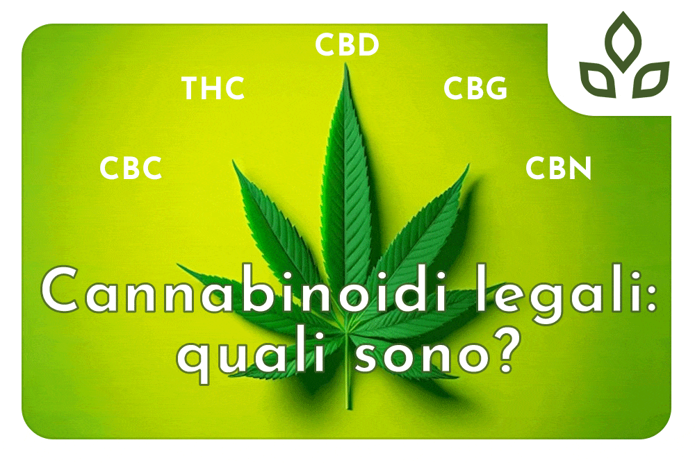 cannabinoidi legali