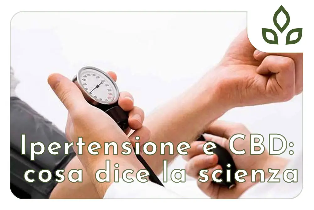 cbd e pressione arteriosa