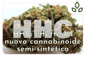 hhc effetti