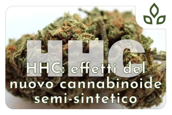 hhc effetti