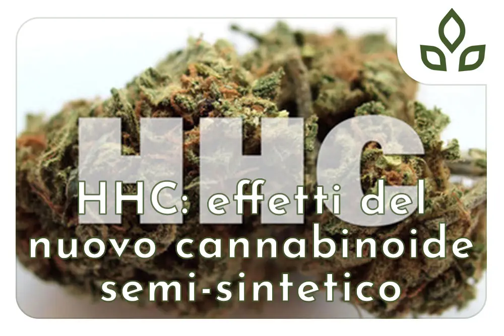 hhc effetti