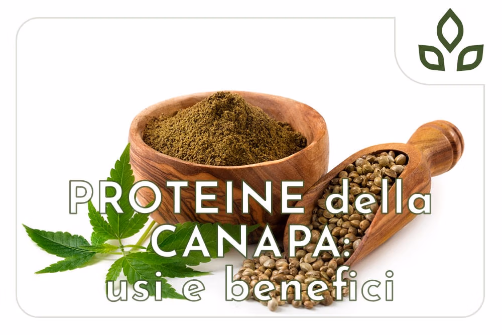 proteine della canapa