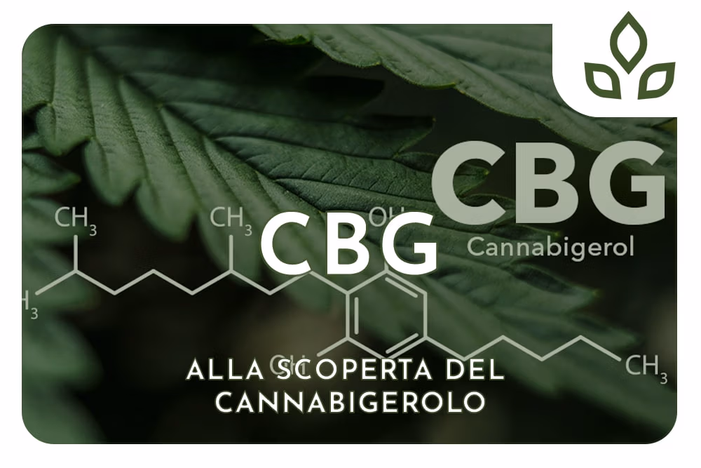 CBG