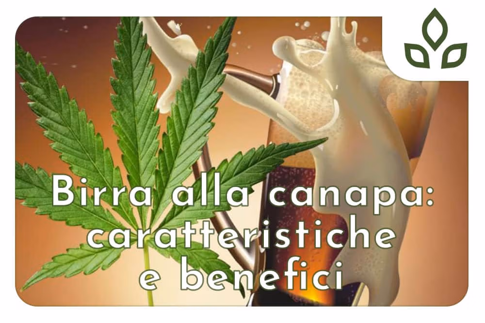 birra alla canapa