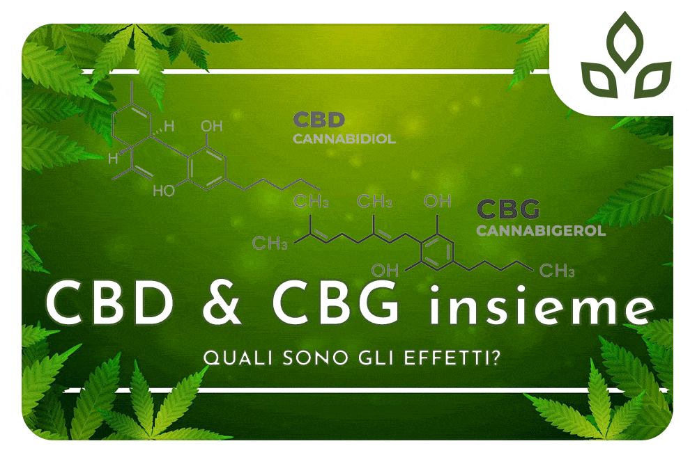 cbd e cbg insieme