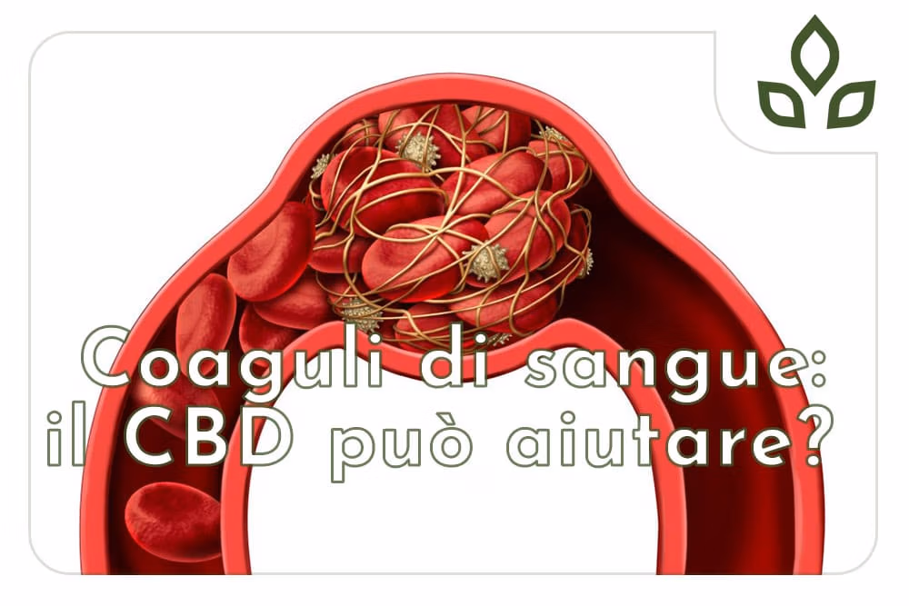 coaguli di sangue e cbd