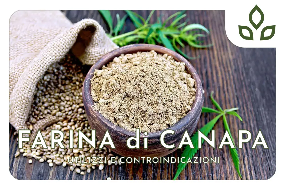 Farina di canapa