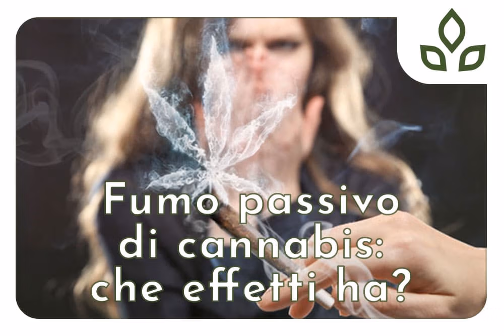 fumo passivo di cannabis