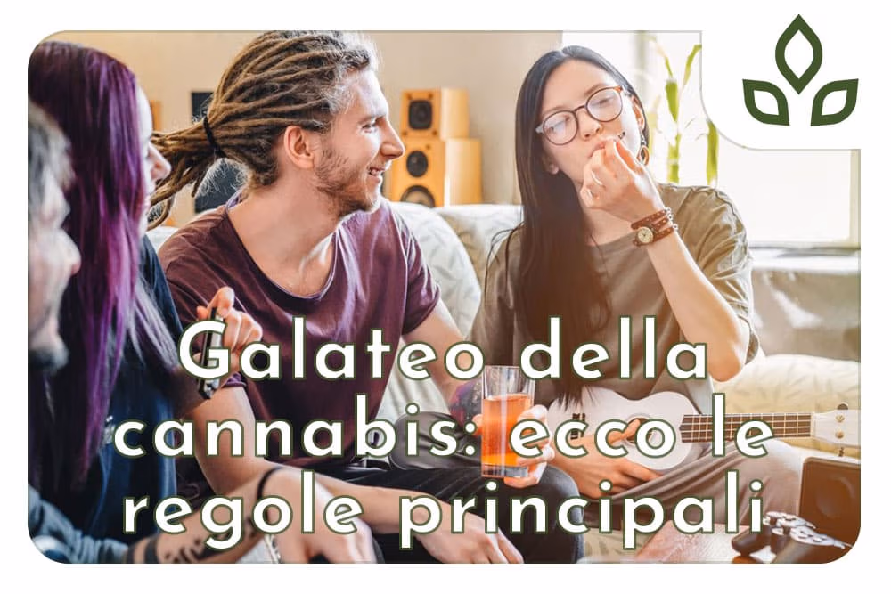 galateo della cannabis