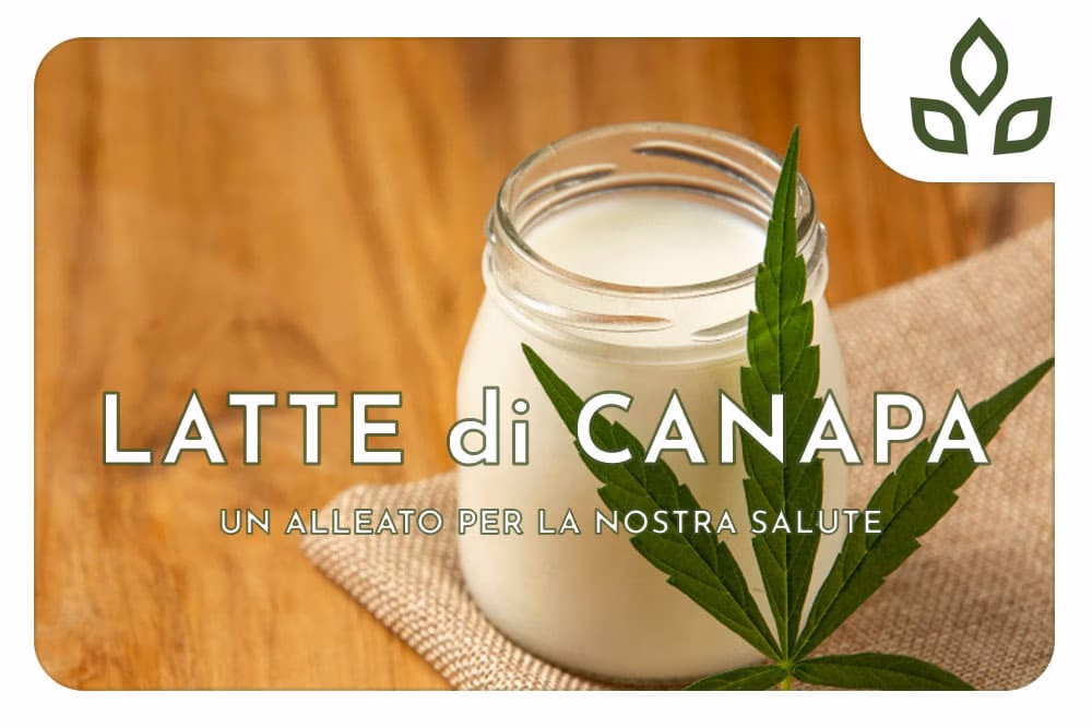 latte di canapa