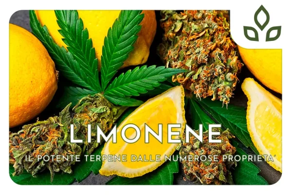 limonene
