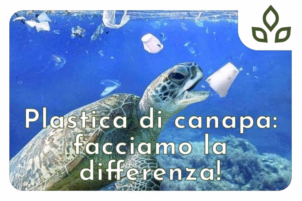 plastica di canapa