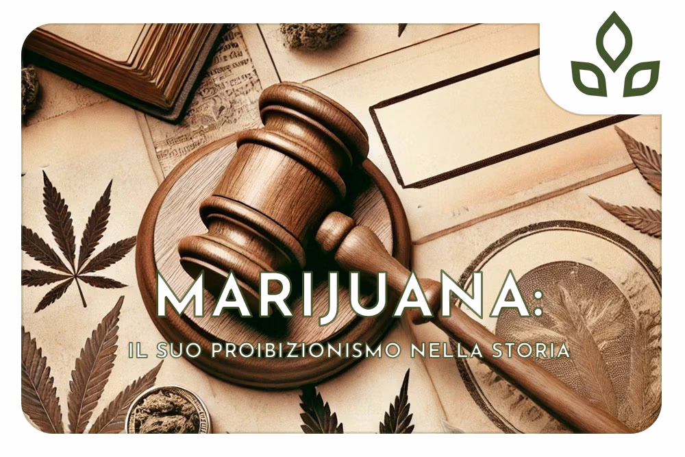 proibizionismo cannabis