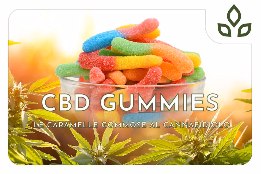 CBD gummies