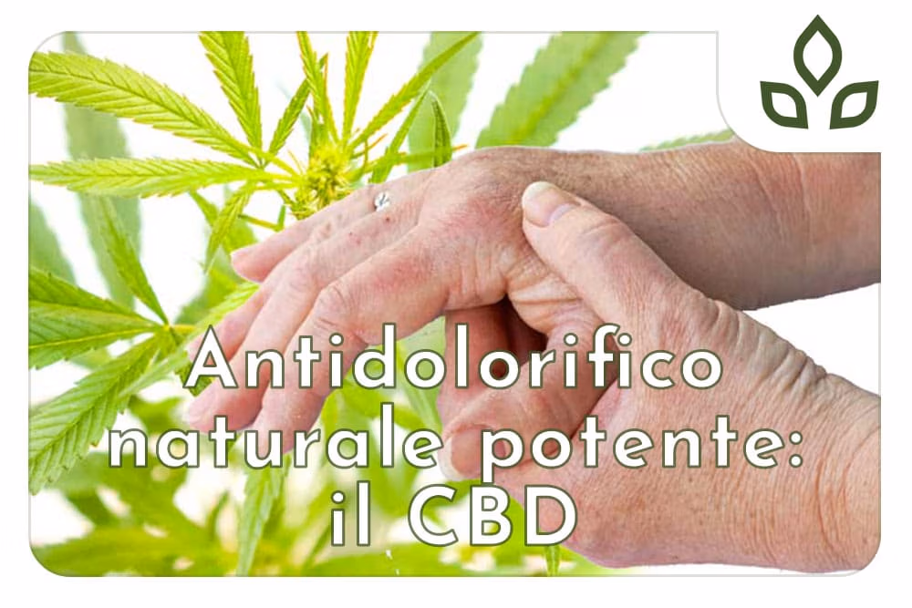 antidolorifico naturale