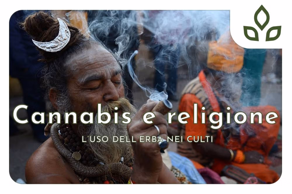 cannabis e religione