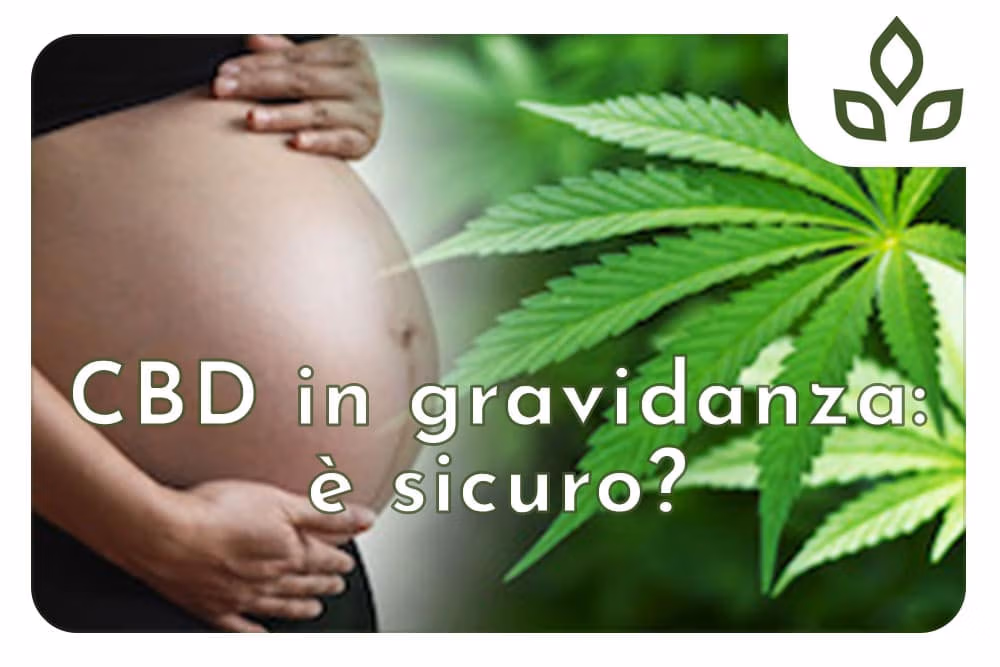 cbd in gravidanza