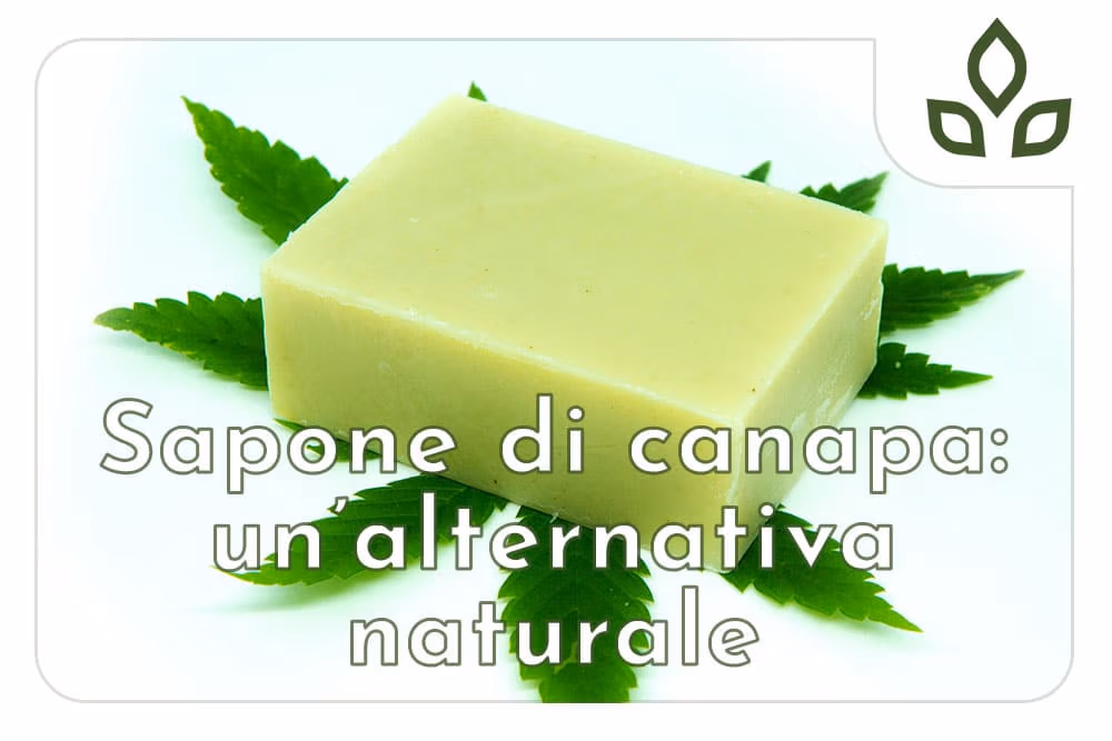 sapone di canapa