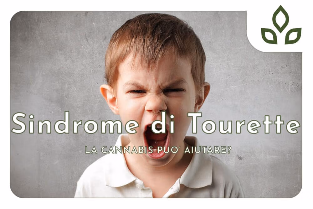 sindrome di tourette