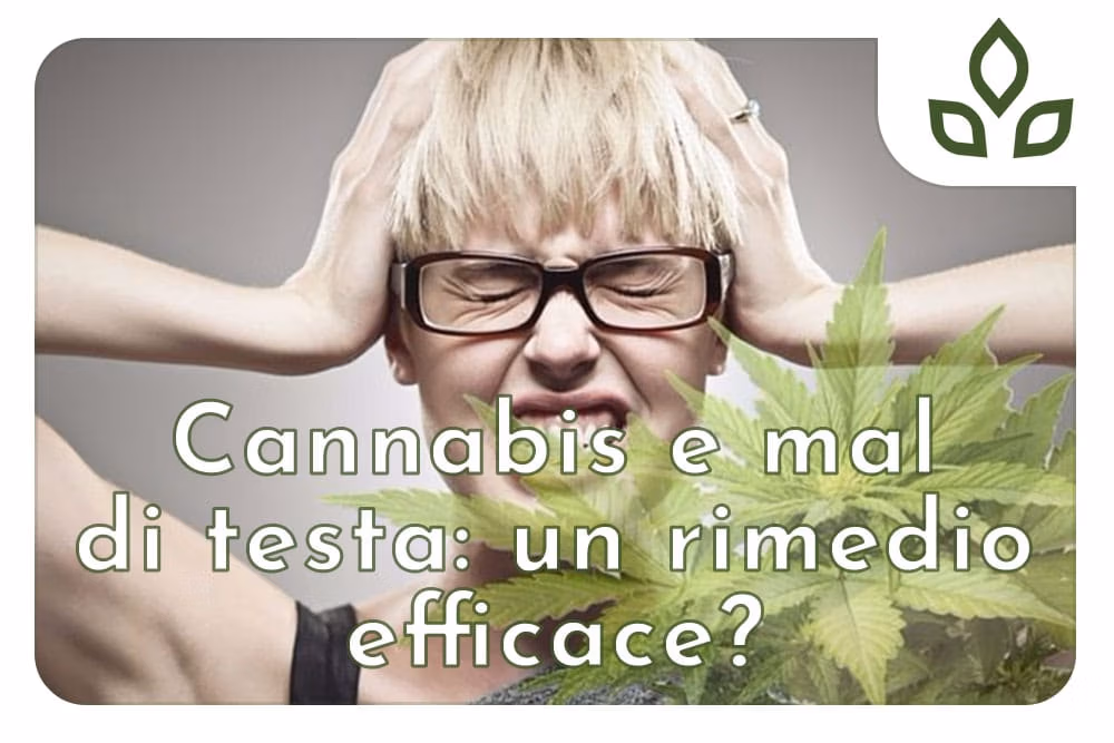 cannabis e mal di testa