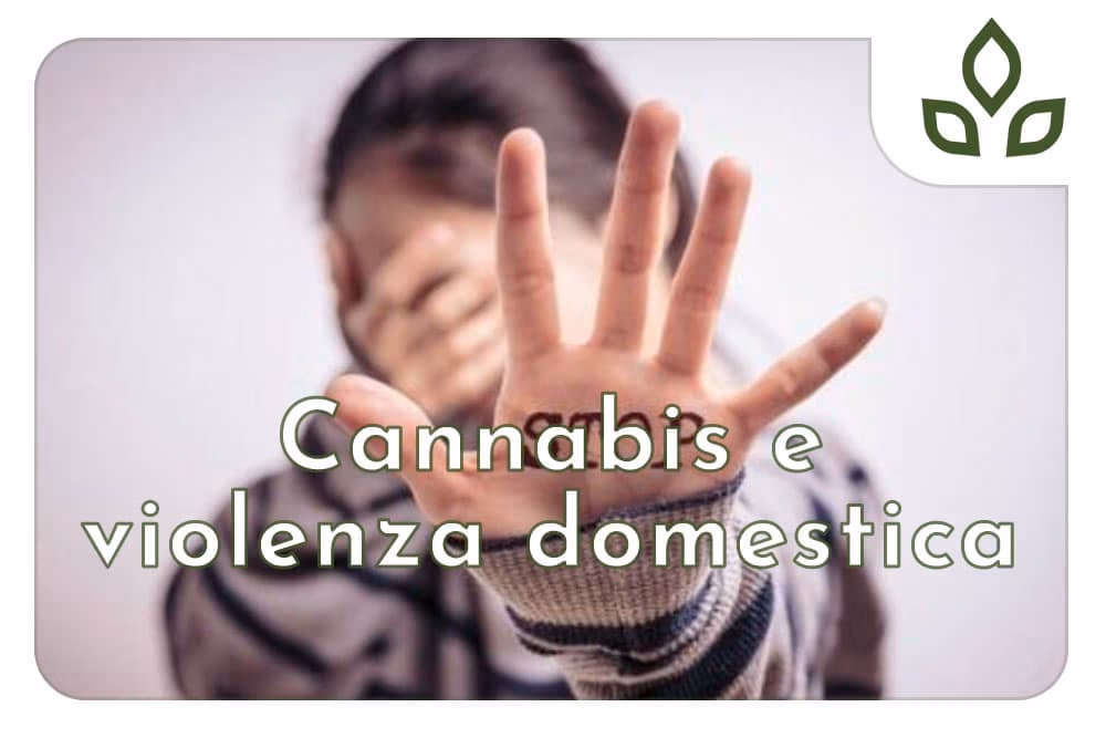 cannabis e violenza