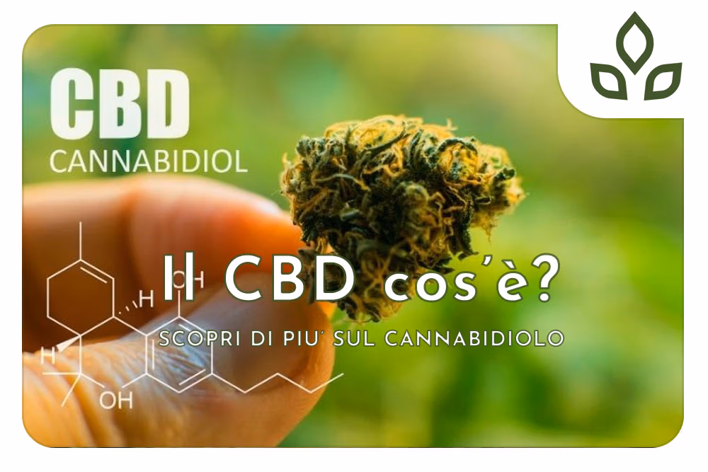 cbd cos'è