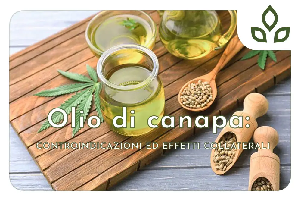 olio di canapa controindicazioni