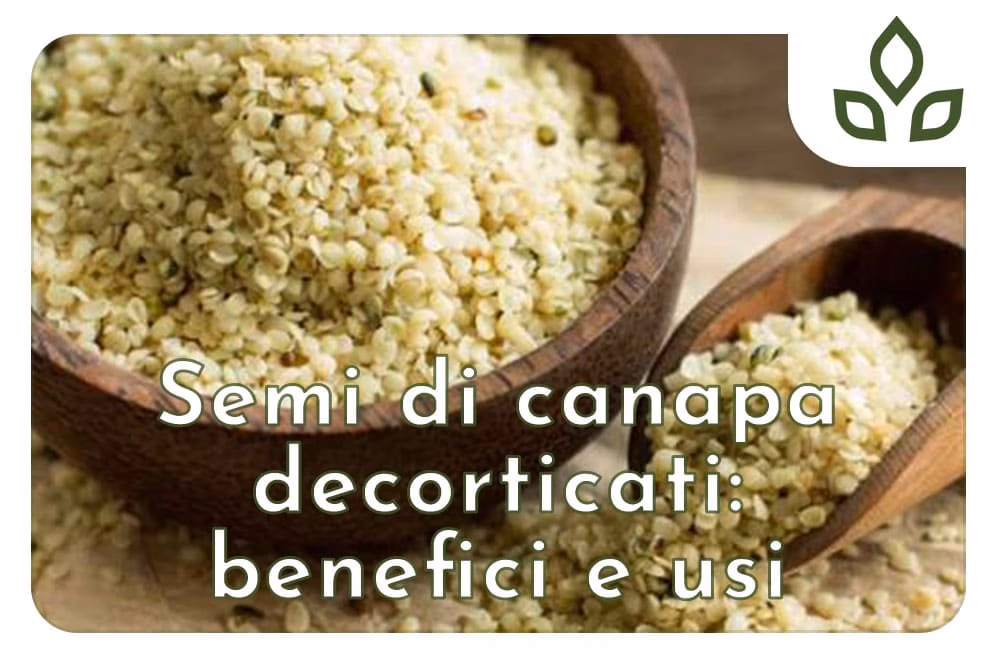semi di canapa decorticati