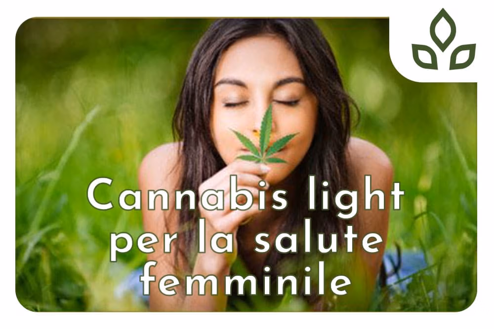 Cannabis light