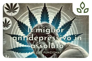 Il miglior antidepressivo in assoluto