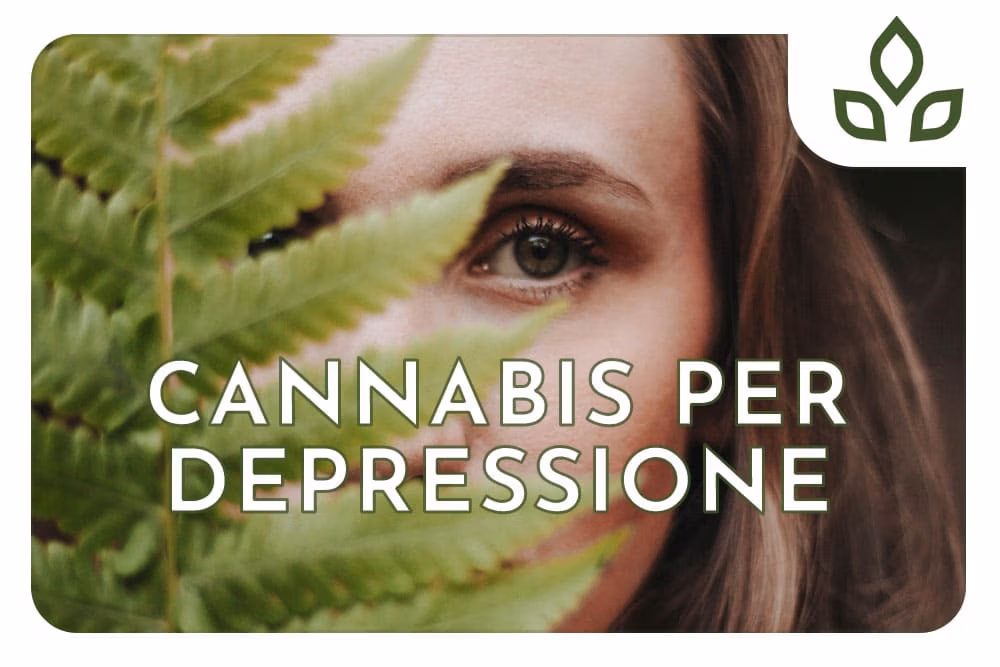 cannabis per depressione