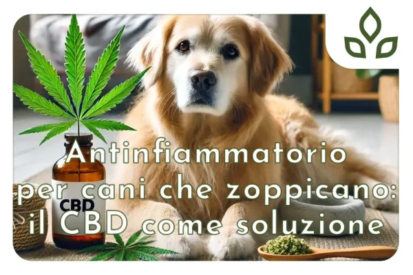 antinfiammatorio per cane che zoppica