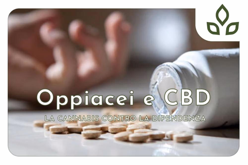 oppiacei e cbd
