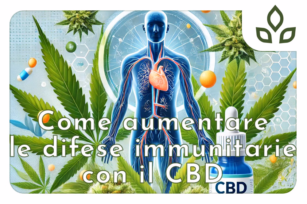 aumentare le difese immunitarie