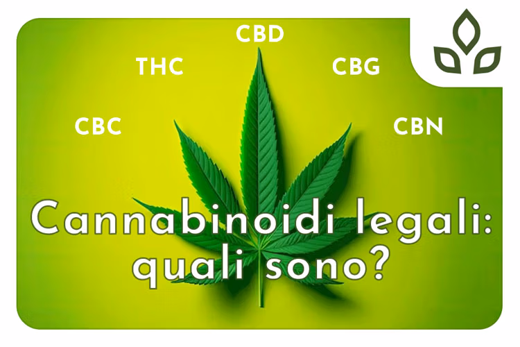 cannabinoidi legali