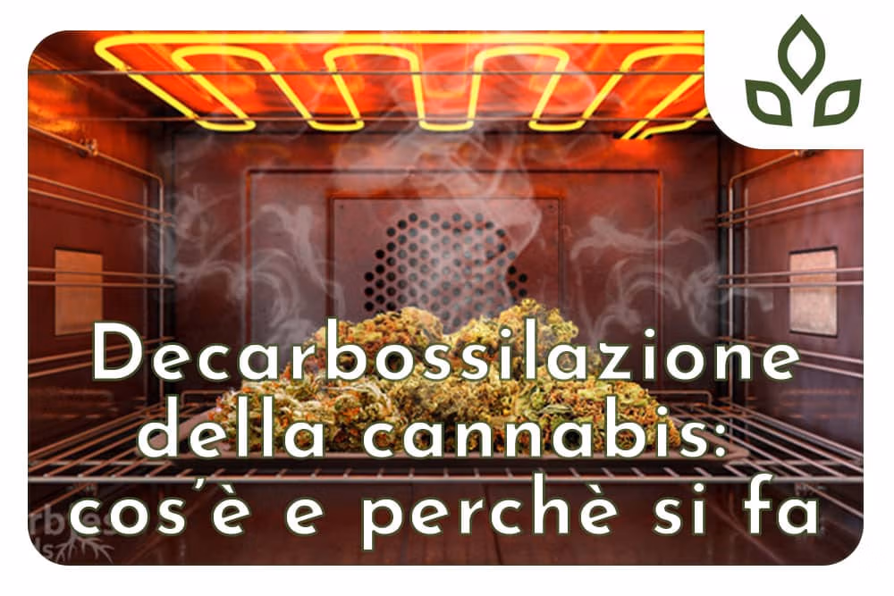 decarbossilazione della cannabis