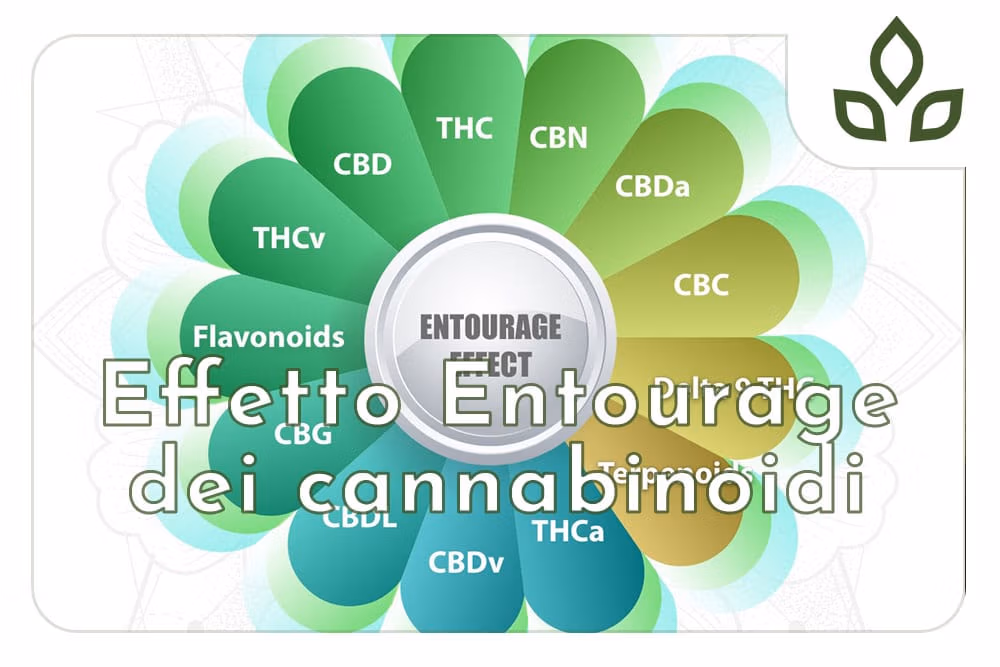 effetto entourage